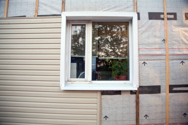 Best Insulated Siding Installation  in Buckhall, VA
