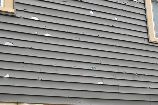 Best Custom Siding Design  in Buckhall, VA