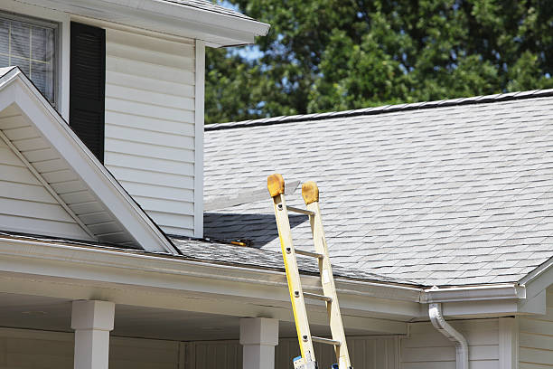 Affordable siding repair and maintenance services in Buckhall, VA