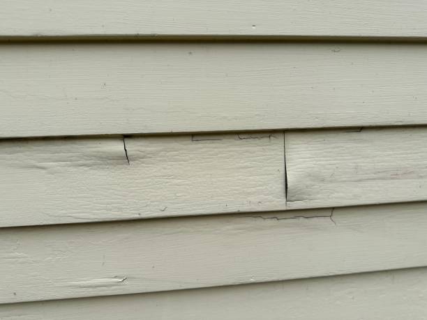 Best Custom Trim and Detailing for Siding  in Buckhall, VA